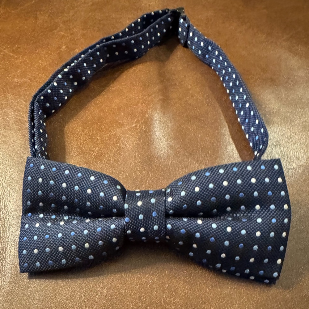 Navy Blue Polka Dot Bow Tie